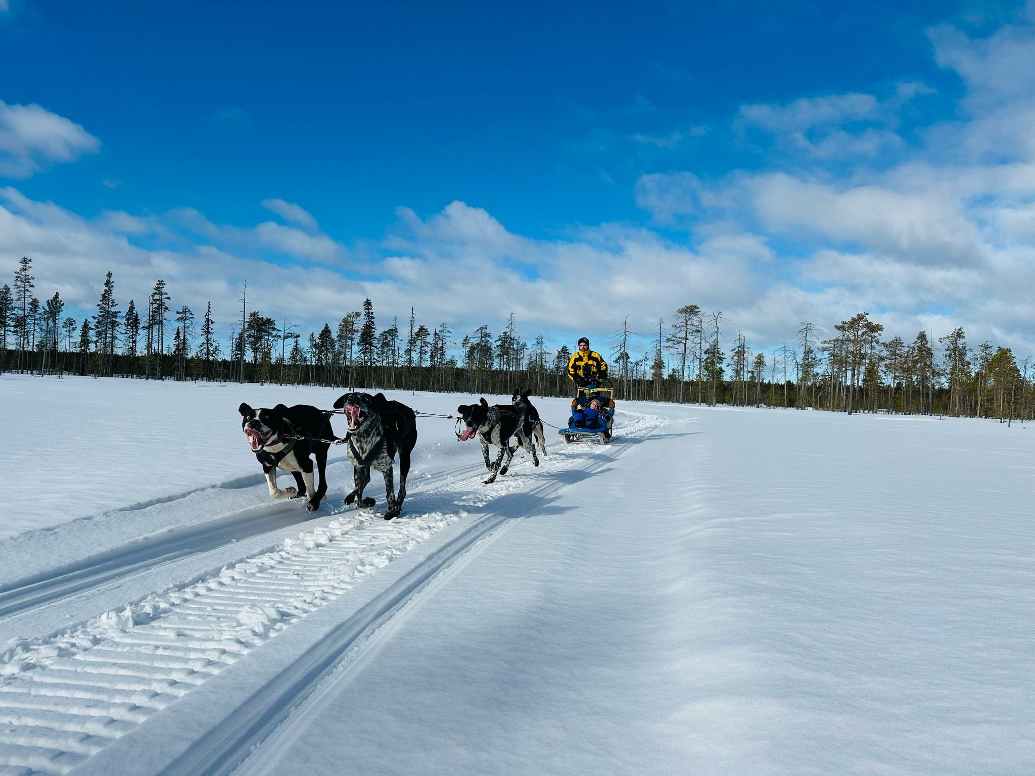 Norrland AIO Camp (Långsund, Råneå)